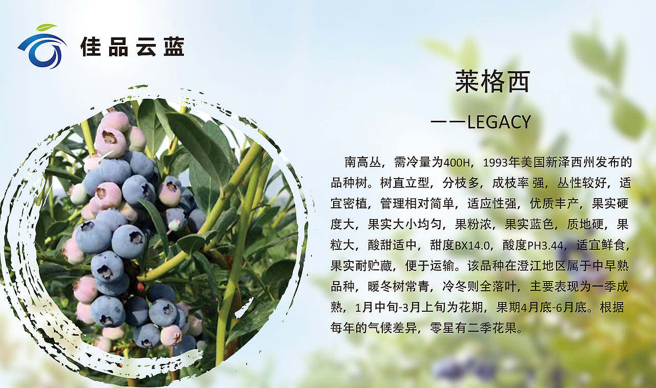 展板（图ZMTQzNDc0MTg4） - 宣传物料 - 站酷设计师呆呆小萌原创素材 - 站酷ZCOOL