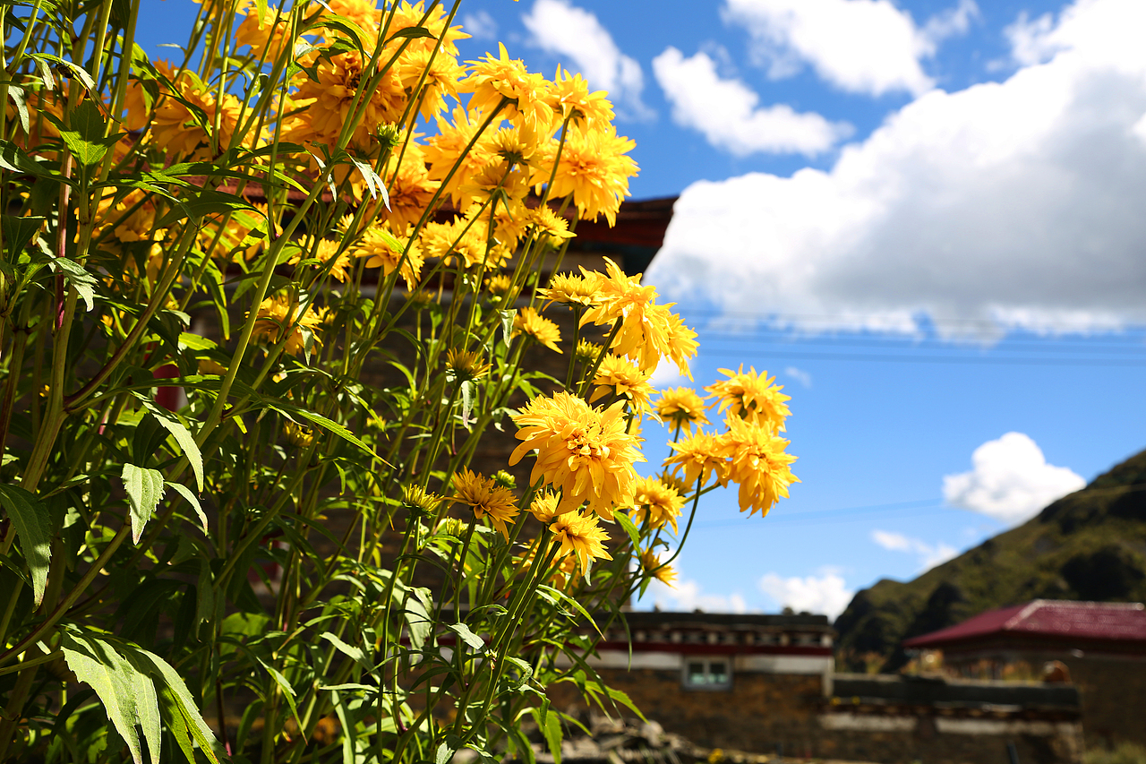 四川甘孜风光（图ZNDk5NTc5NDA=） - 风光摄影 - 站酷设计师洛克桑塔纳原创素材 - 站酷ZCOOL