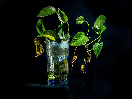 一年又一年（个人主页-ZMzAwMzg0OTY=） - 人文/纪实摄影 - 站酷设计师摄影非师原创素材 - 站酷ZCOOL