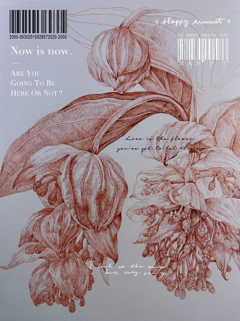 蘸水笔针管笔｜宝莲灯（图ZMzM2ODY2MjI0） - 艺术插画 - 站酷设计师CatCastleDZ原创素材 - 站酷ZCOOL