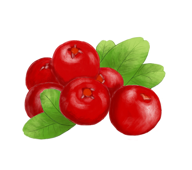 临摹练习（图ZMjc2MDM1Njg0） - 其他 - 站酷设计师濡雪吖原创素材 - 站酷ZCOOL