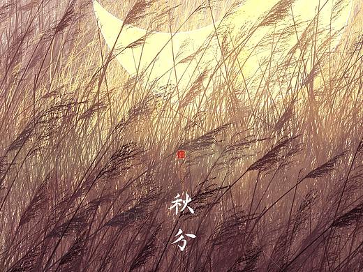 秋分