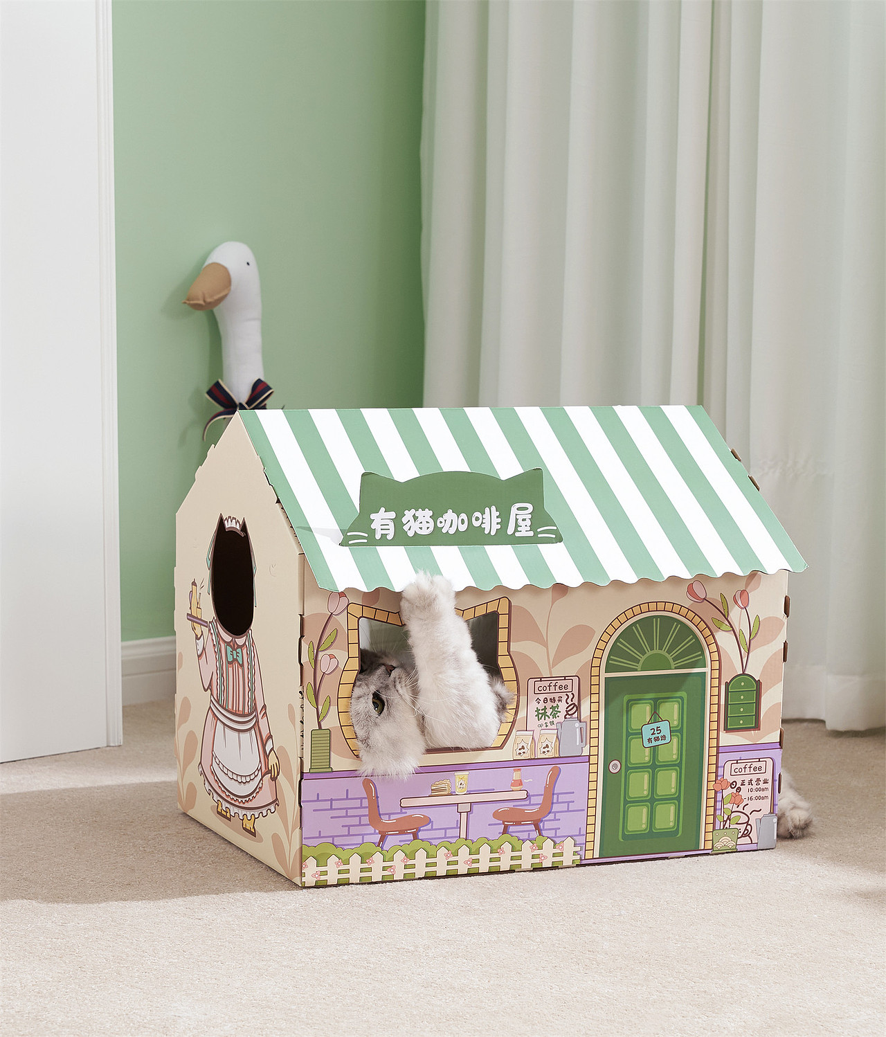 美女来杯猫咖嘛,宠物拍摄