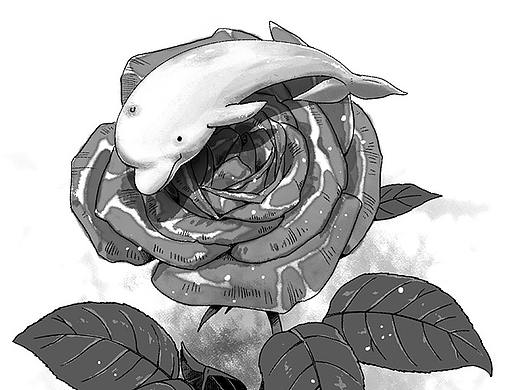 插画