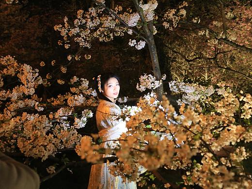 武汉赏樱汉服小姐姐