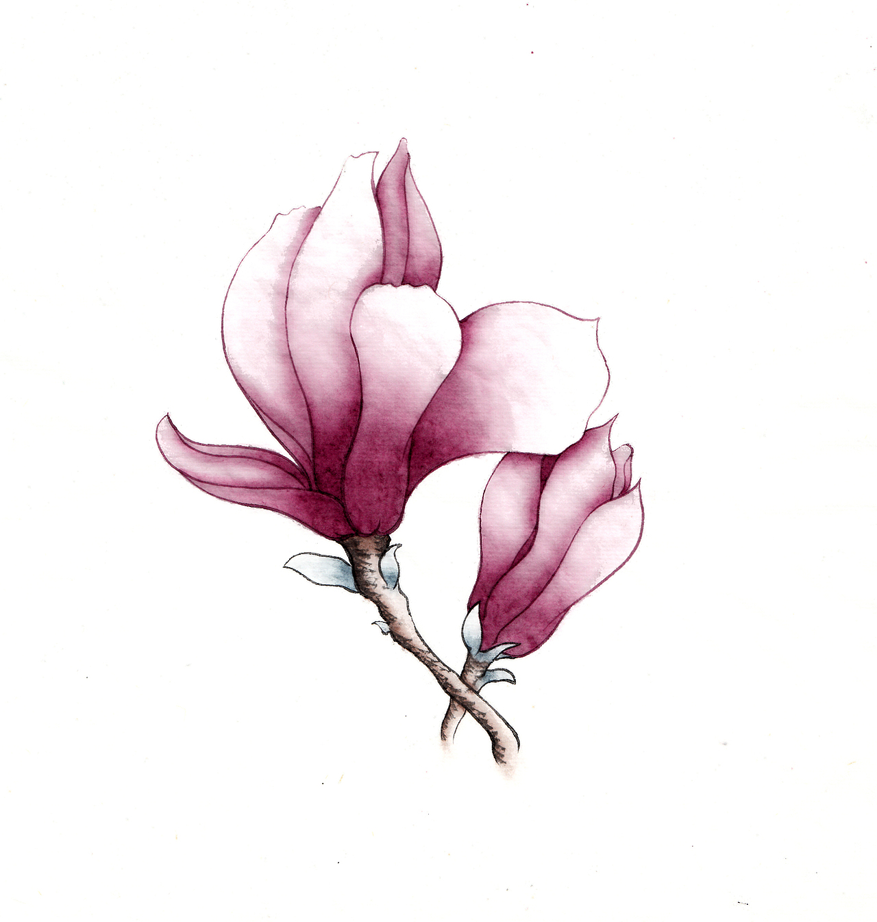 花（图ZODM5MDQyNTY=） - 绘画 - 站酷设计师南溟原创素材 - 站酷ZCOOL