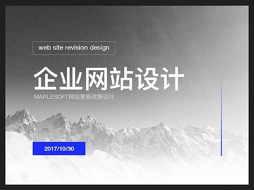 WEBSITE企业网站视觉设计