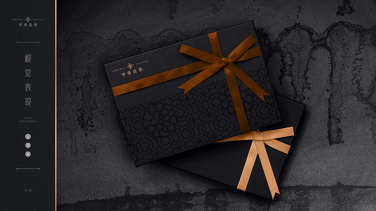 地产VI-logo延展-中央首府