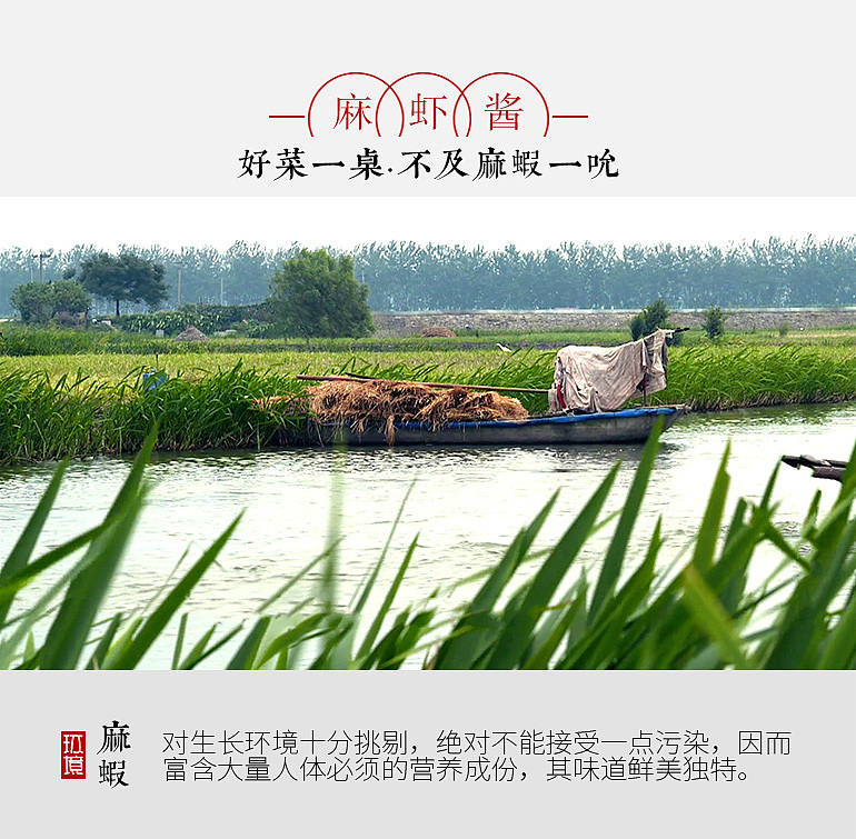 宏之燊麻虾酱 众筹设计