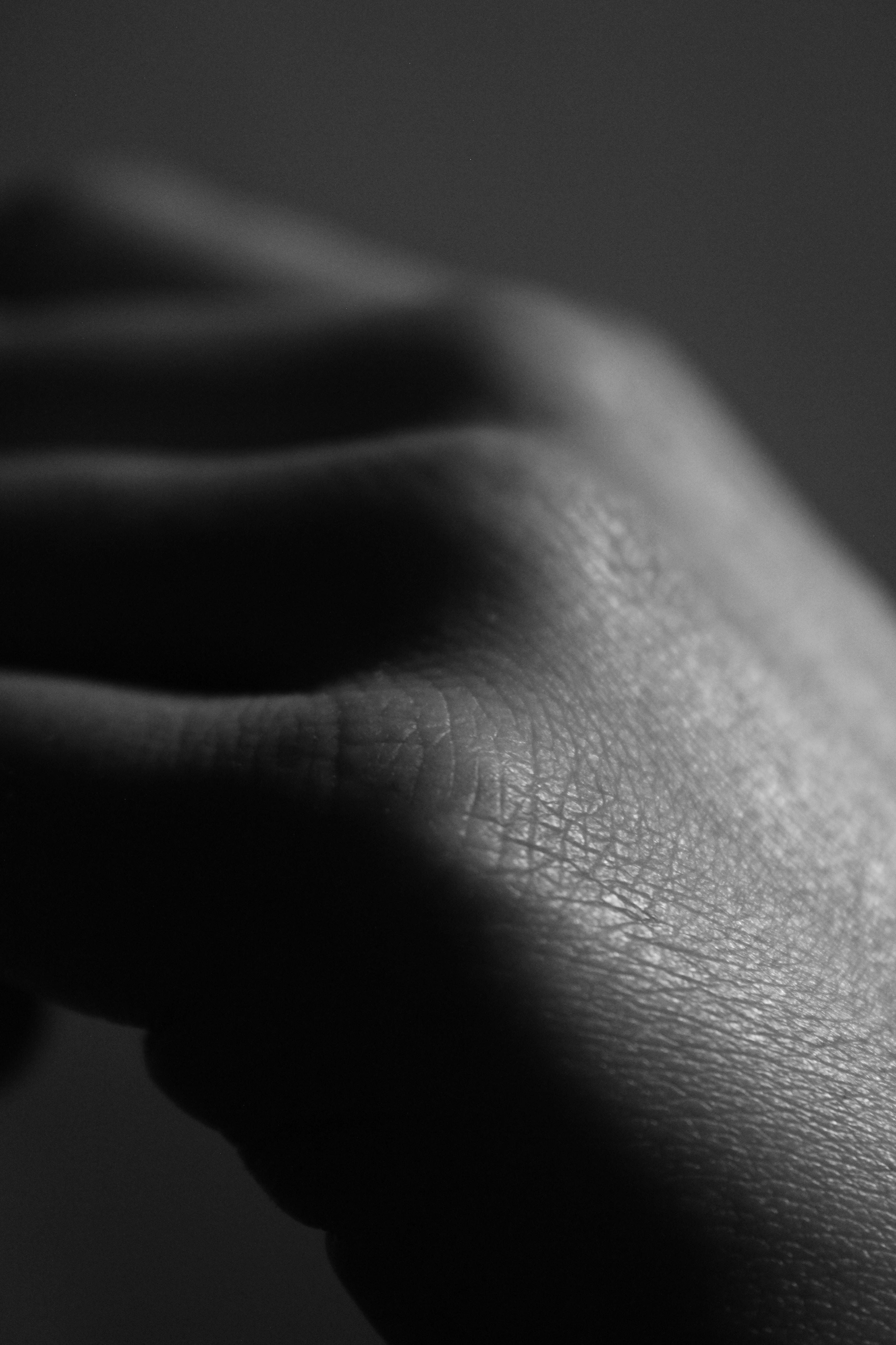 VEMORI的个人主页（封面预览） - 主页封面设置 - 站酷设计师VEMORI原创素材 - 站酷ZCOOL