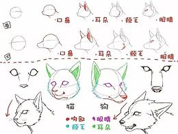 爱宠星人