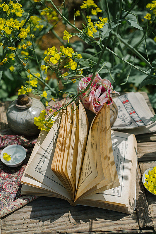「山林食纪之丙申」山中岁月,海上心情