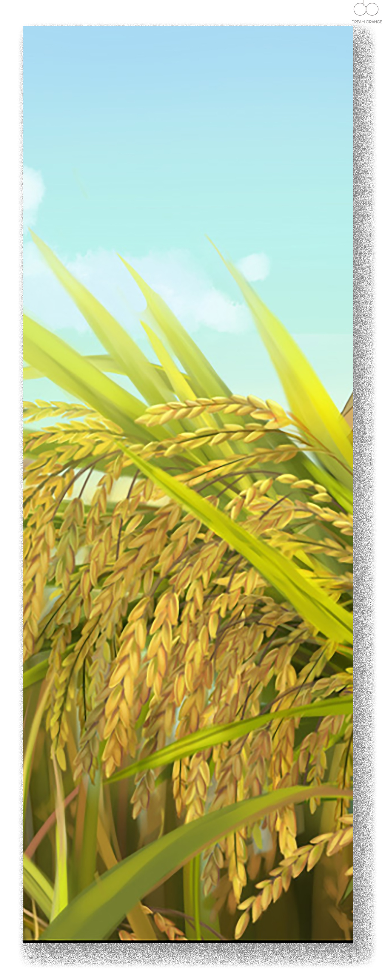 稻香 临摹|插画|商业插画|糖醋排骨汤包 - 临摹作品 - 站酷 (zcool)