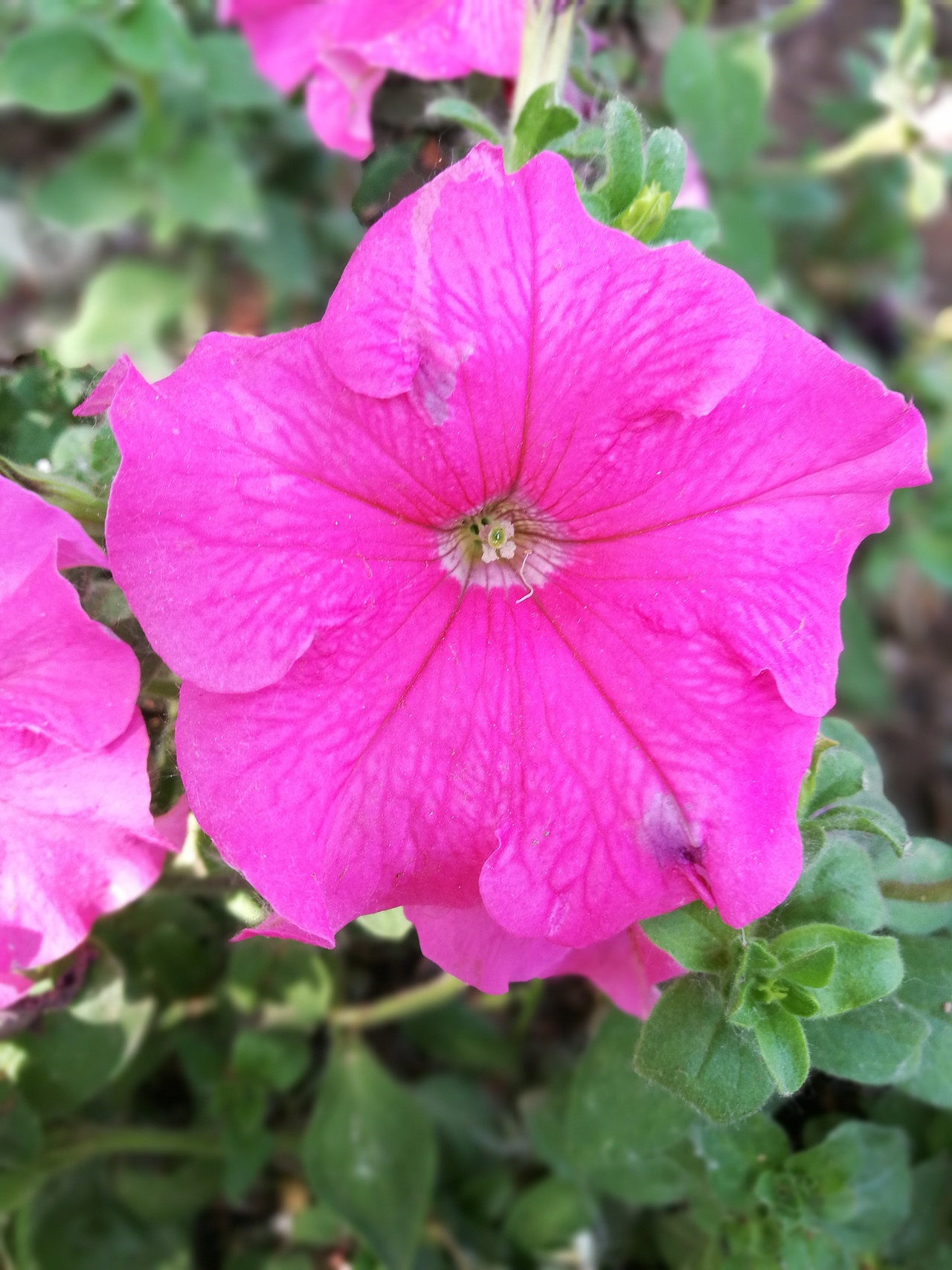 摄影（图ZNzkwMzg5MzY=） - 风光摄影 - 站酷设计师CearyQi原创素材 - 站酷ZCOOL