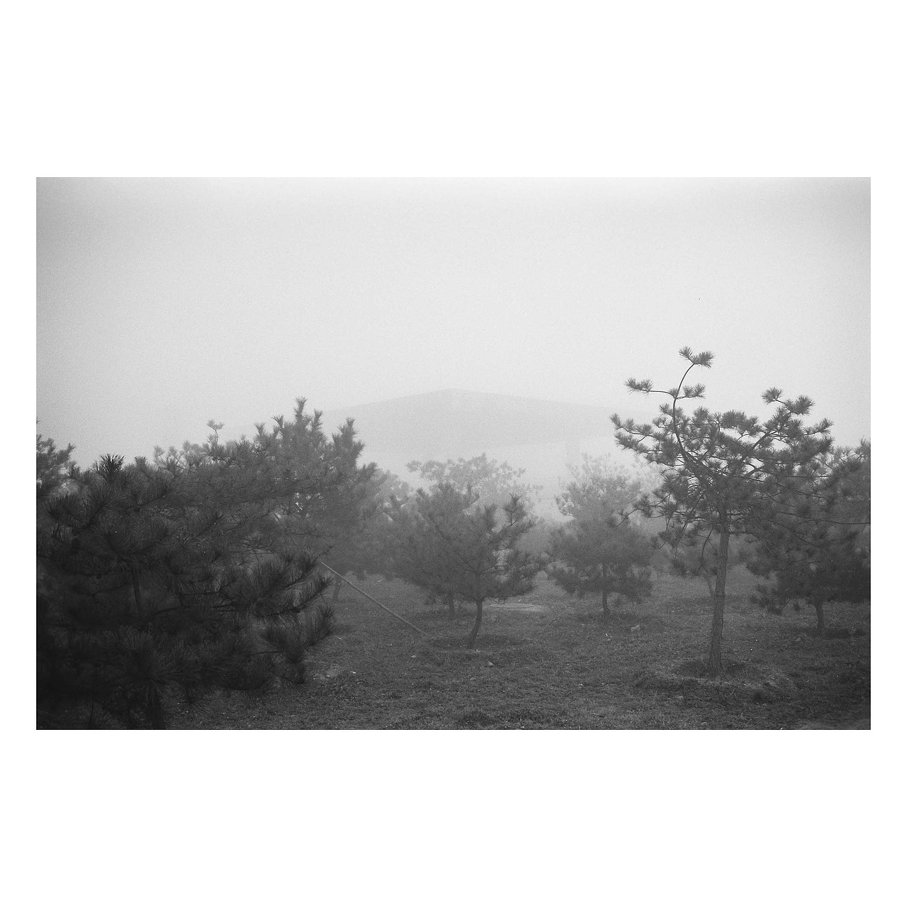 街头胶片摄影｜部分黑白合集 by Leica M6（图ZMjg2Njk0NTI0） - 人文/纪实摄影 - 站酷设计师刘小川原创素材 - 站酷ZCOOL