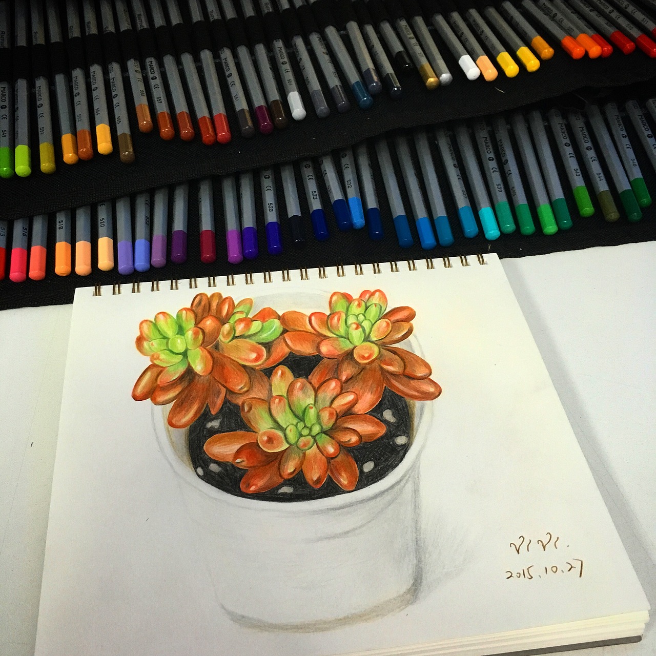 日积月累的彩铅作品