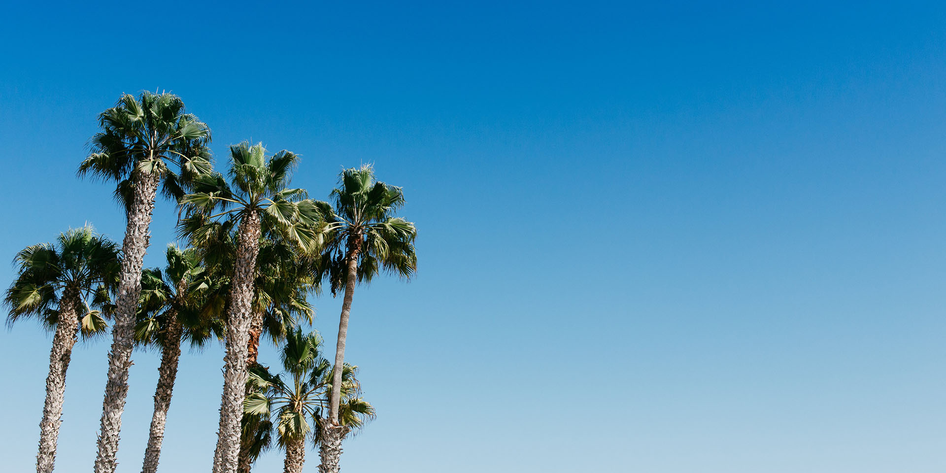 依然飯?zhí)叵的個(gè)人主頁(yè)（背景預(yù)覽） - 主頁(yè)背景設(shè)置 - 站酷設(shè)計(jì)師依然飯?zhí)叵原創(chuàng)素材 - 站酷ZCOOL