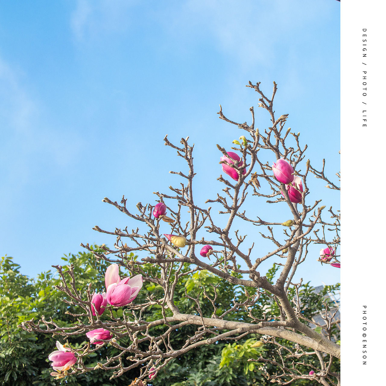 设计与生活那一年（图ZNjk0ODgxMjg=） - 人文/纪实摄影 - 站酷设计师Enson_Ma原创素材 - 站酷ZCOOL