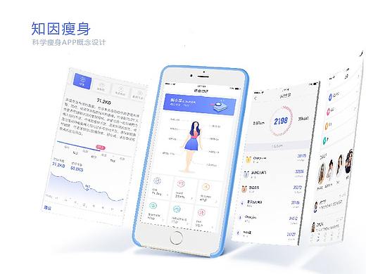 知因瘦身APP概念设计