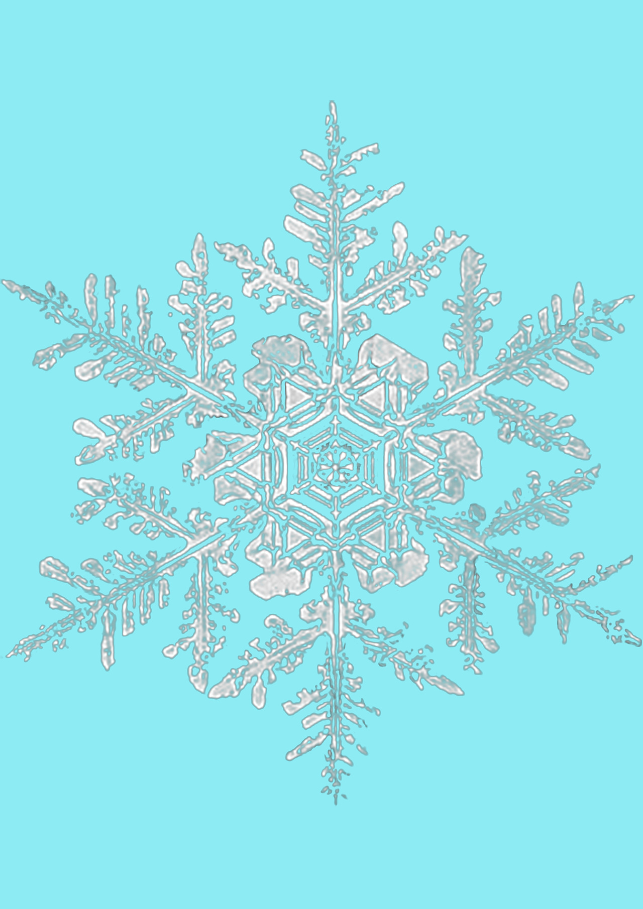 雪花|摄影|修图/后期|皇桑 - 原创作品 - 站酷 (zcool)