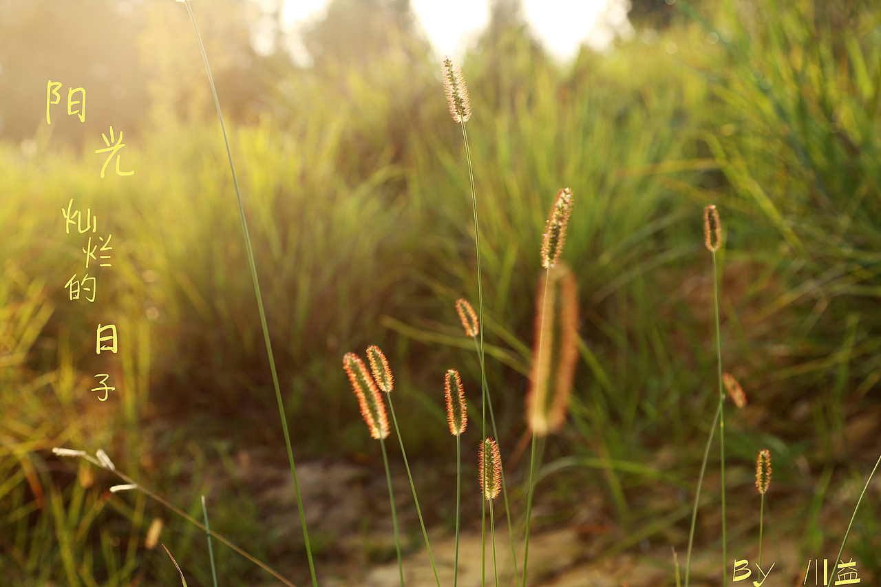 對著太陽Say Hello!（圖ZODIwNzkzNDQ=） - 風(fēng)光攝影 - 站酷設(shè)計師南宮凡隱123原創(chuàng)素材 - 站酷ZCOOL