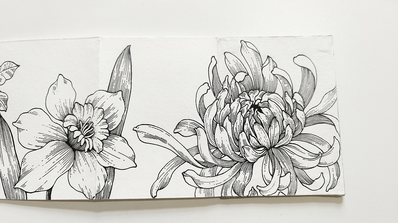 线描花卉,花园里面有什么?