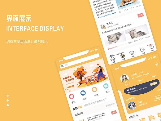 “宠乐家”宠物APP界面设计