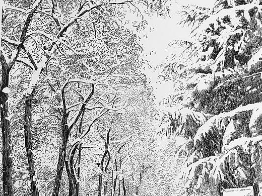 真不敢相信这些雪景是钢笔画的，太美了！