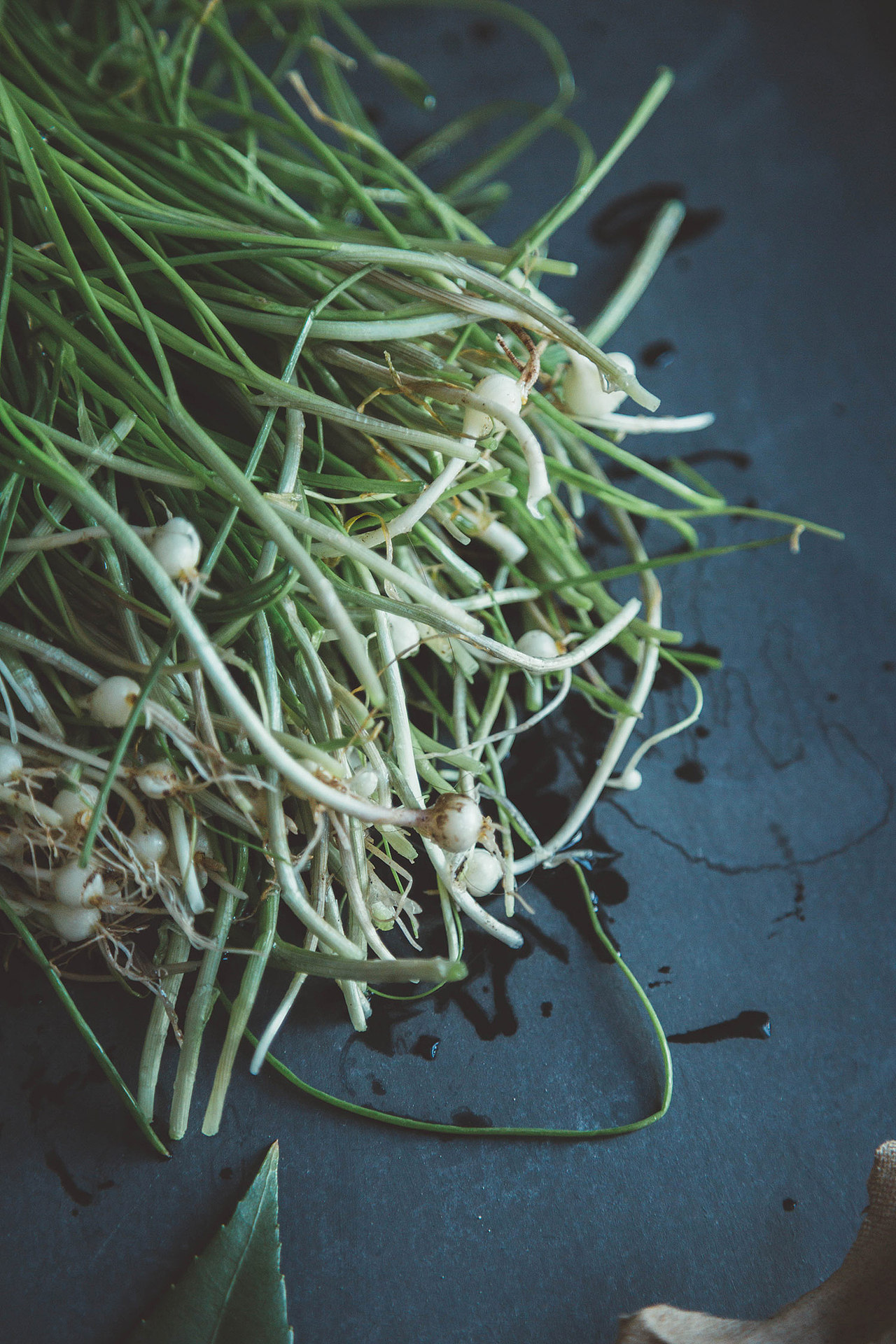 山蒜炒鸡蛋 | 春季一味鲜