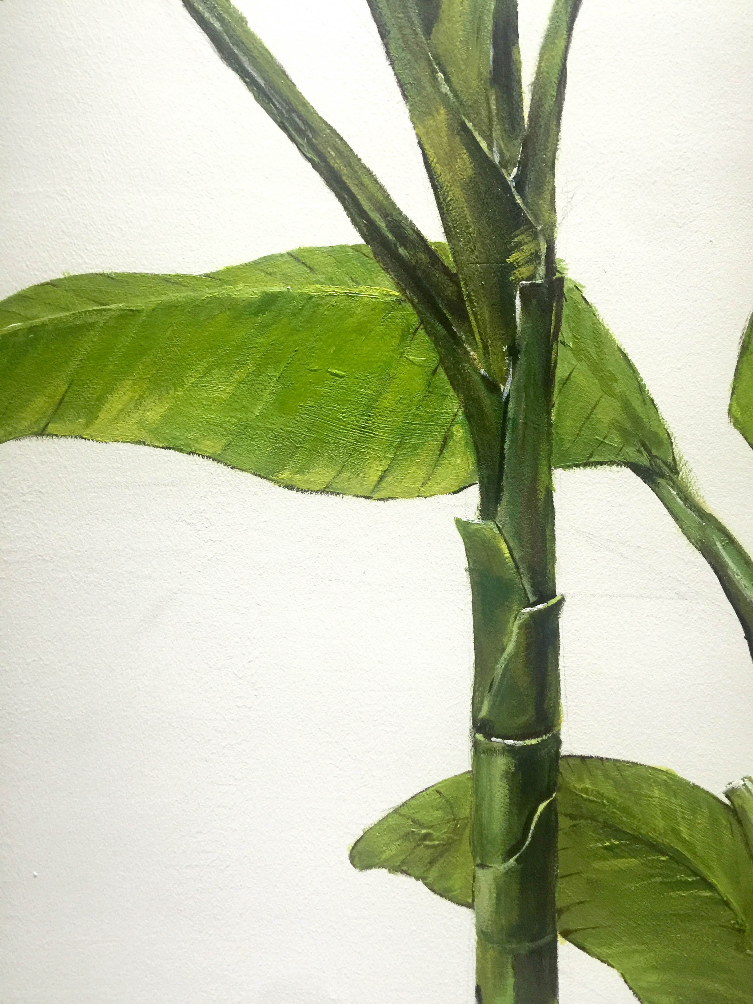 室内装修墙绘绿色植物