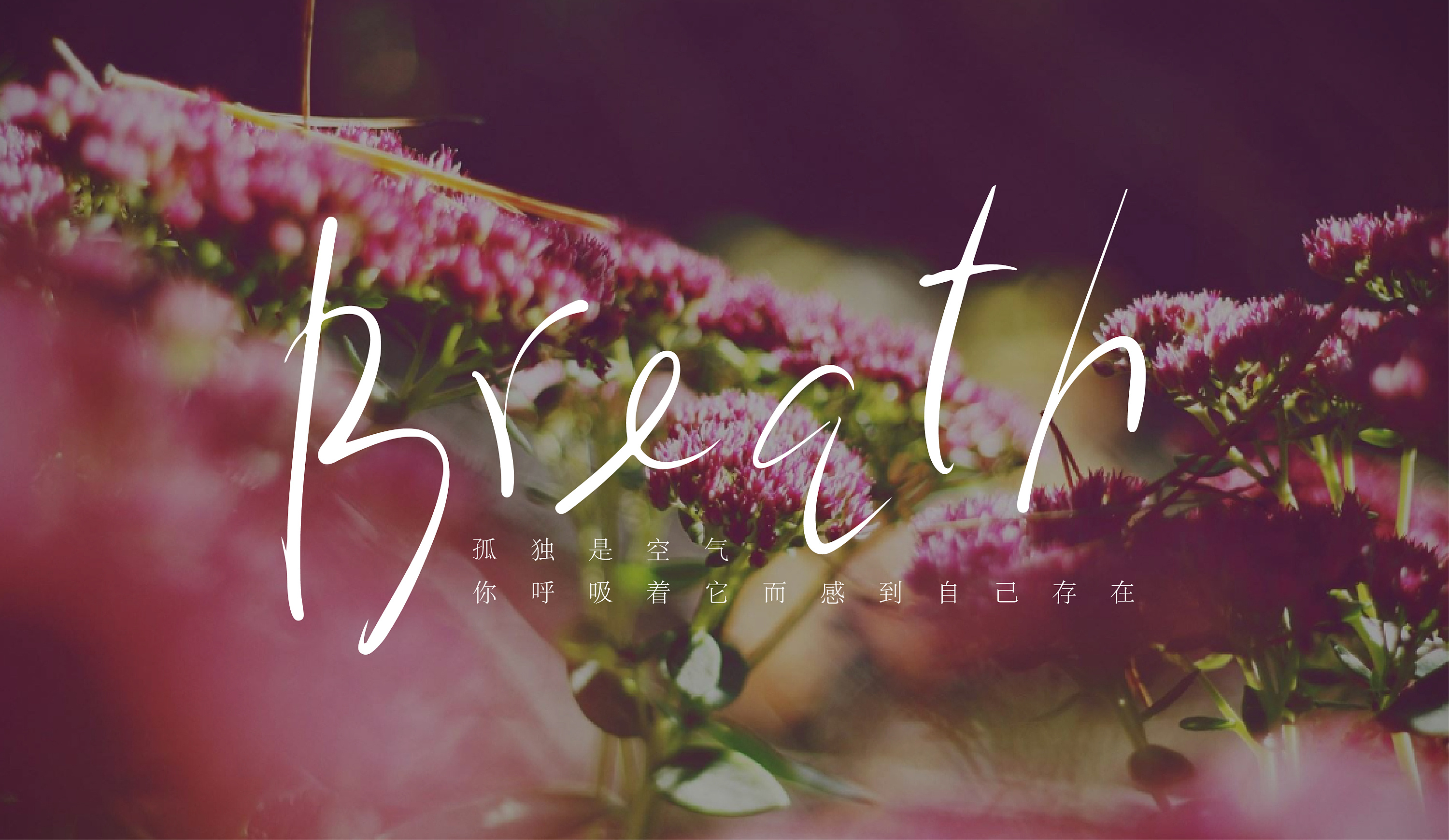 英文英文手写英文