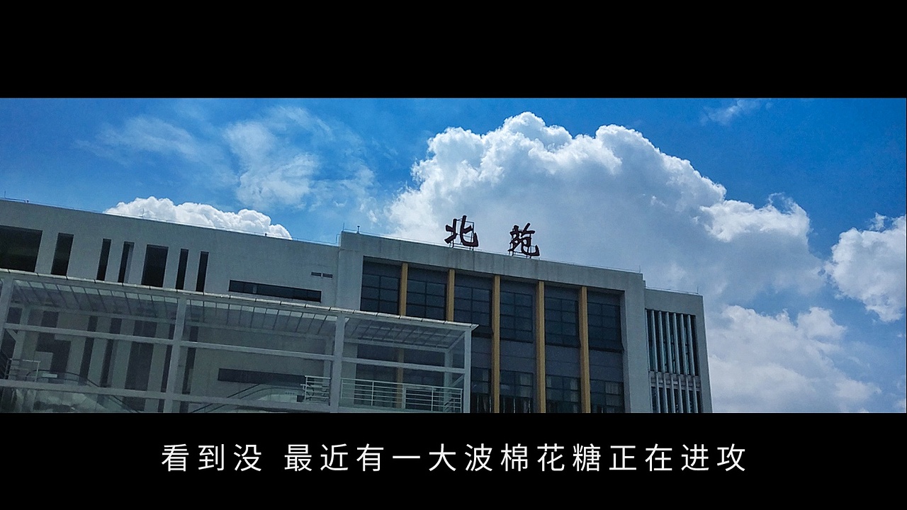 我的大学 走走停停（图ZMTE2MzY0MDE2） - 人文/纪实摄影 - 站酷设计师咩咩宝贝MIE原创素材 - 站酷ZCOOL