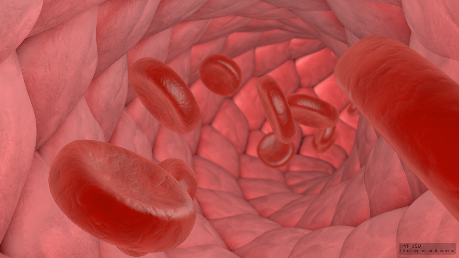 医学科技展板人体血液循环系统透视图超高清图片_易拉宝_展板展架-图行天下素材网