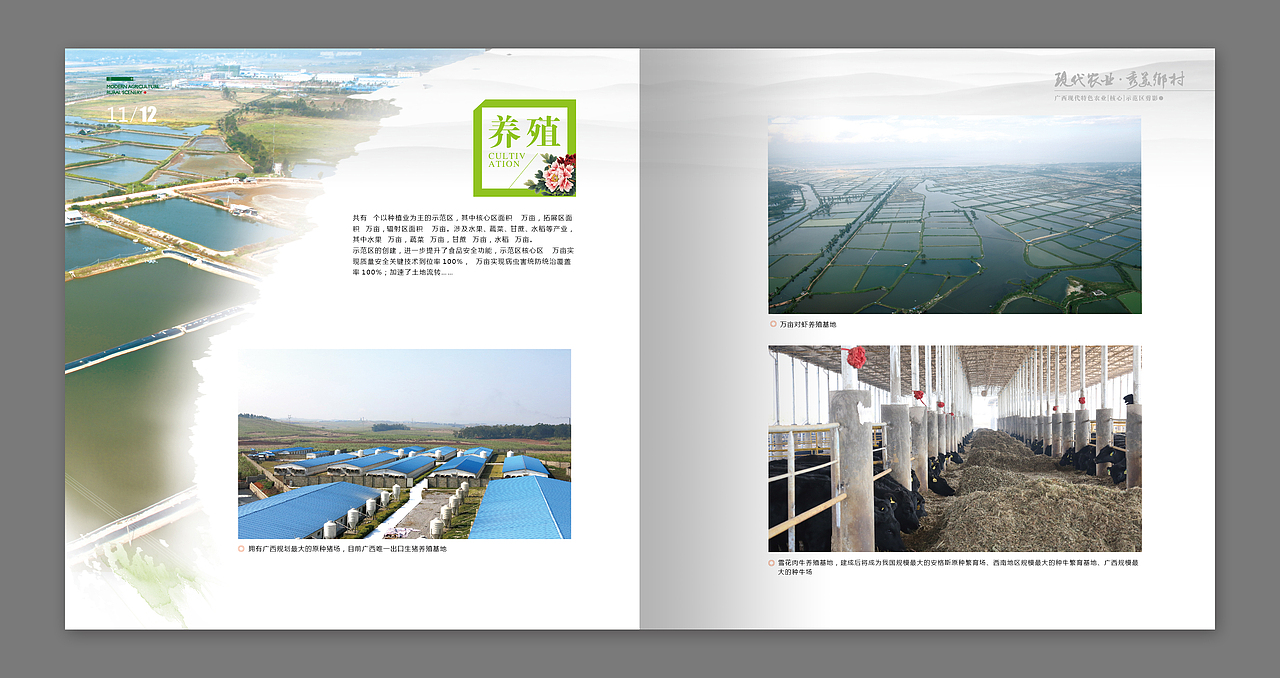 “新育丰”画册 网页设计