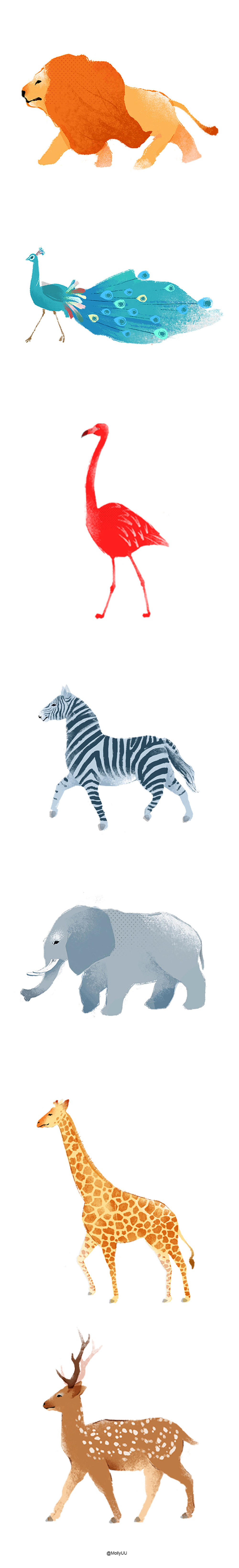 一组扁平风动物（图ZMTc4ODQ0NDM2） - 商业插画 - 站酷设计师MollyUU原创素材 - 站酷ZCOOL