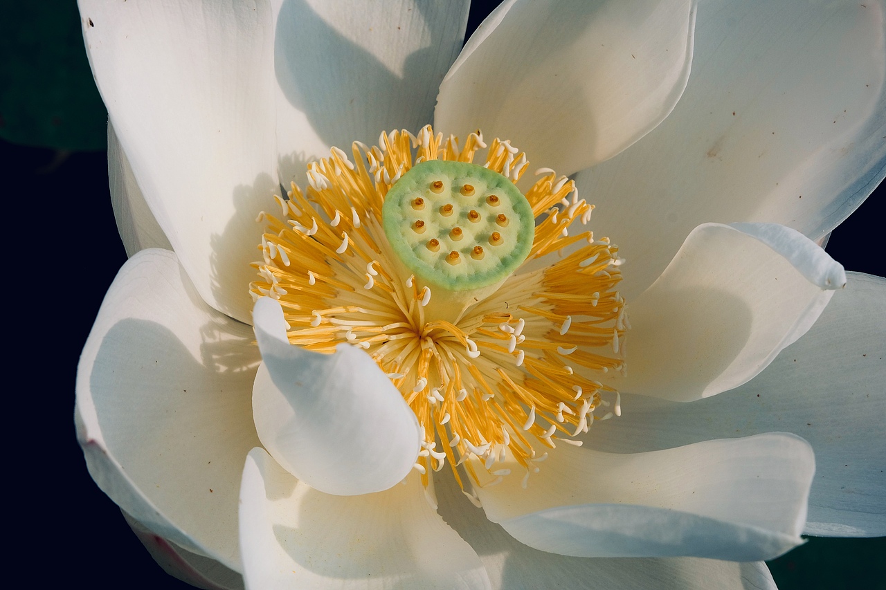 向往一抹清凉，生活是平平淡淡的美好（图ZMTIyMjI4MzI4） - 风光摄影 - 站酷设计师仰天大笑出门去3原创素材 - 站酷ZCOOL