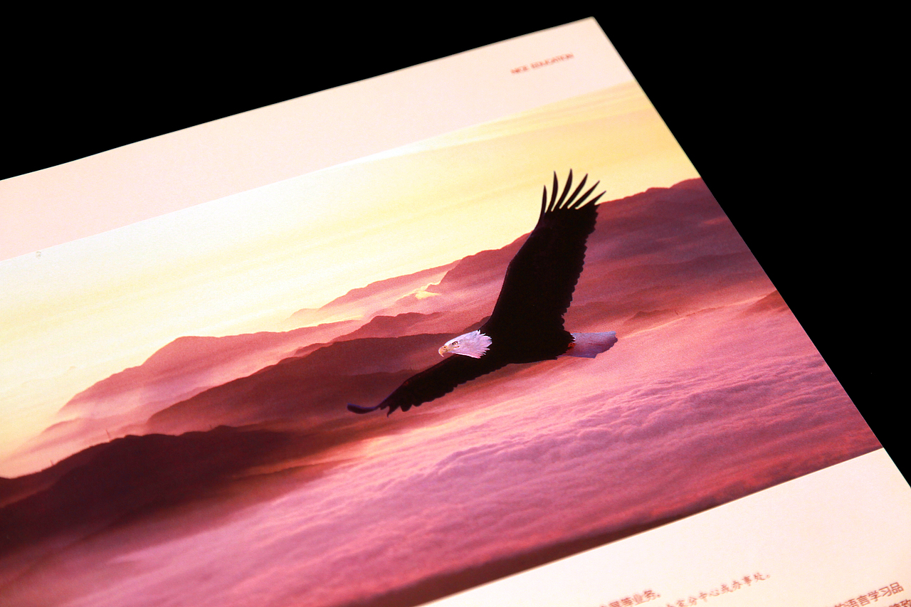 教育品牌宣传册（图ZMjM3MTc2NDY0） - 宣传物料 - 站酷设计师RickyShi原创素材 - 站酷ZCOOL