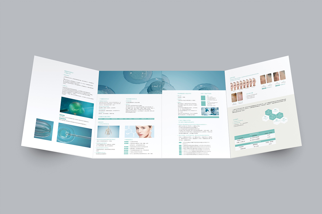 四折页关门折干细胞宣传页