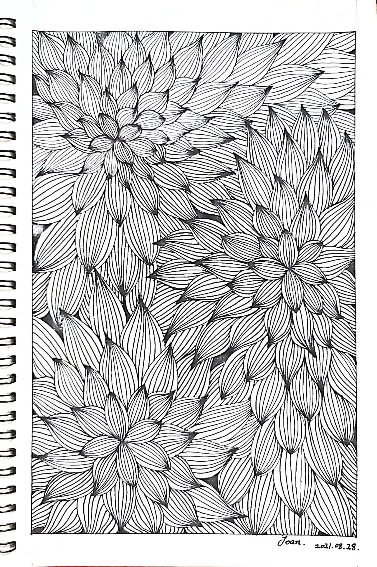 控笔练习打卡61|插画|创作习作|joan_design - 临摹作品 - 站酷