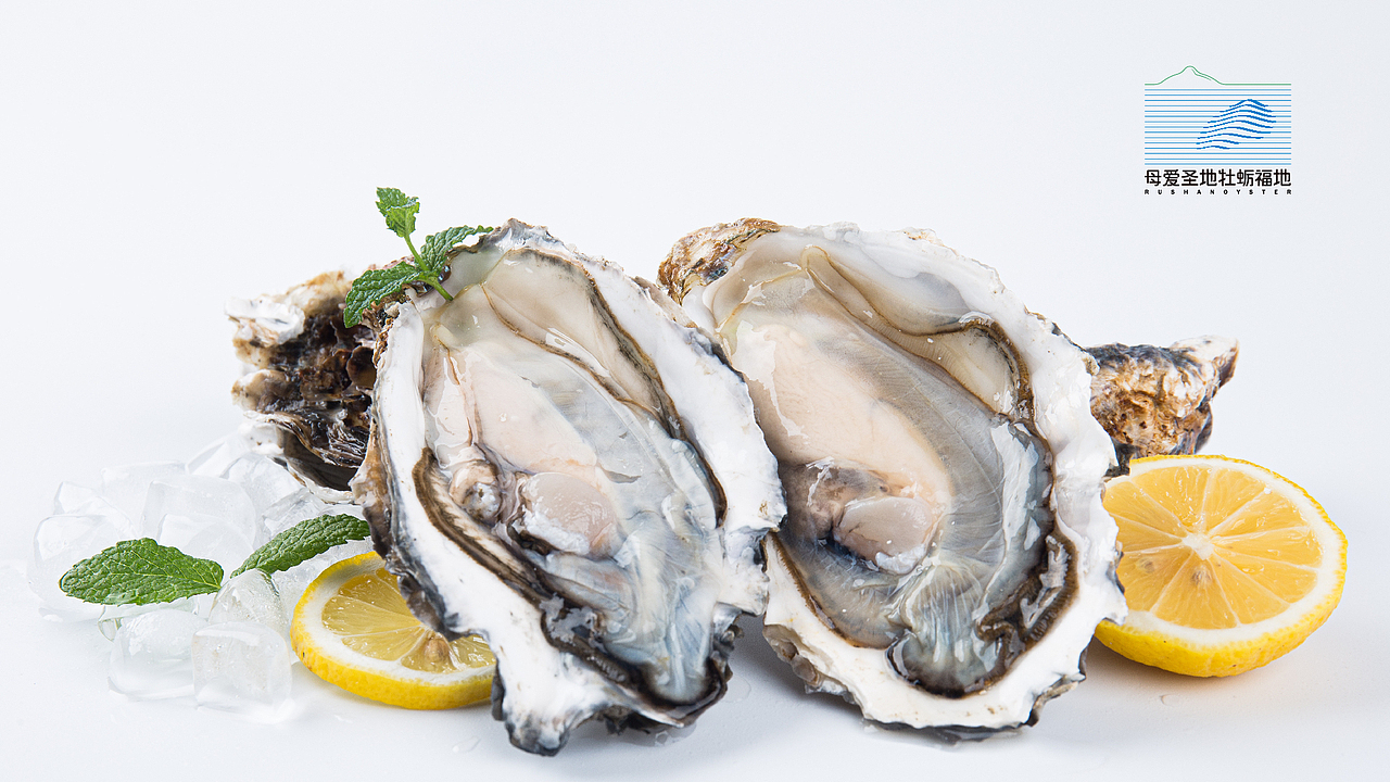 品牌提案（图ZMjYwODc5Mjgw） - 品牌 - 站酷设计师无何散人原创素材 - 站酷ZCOOL