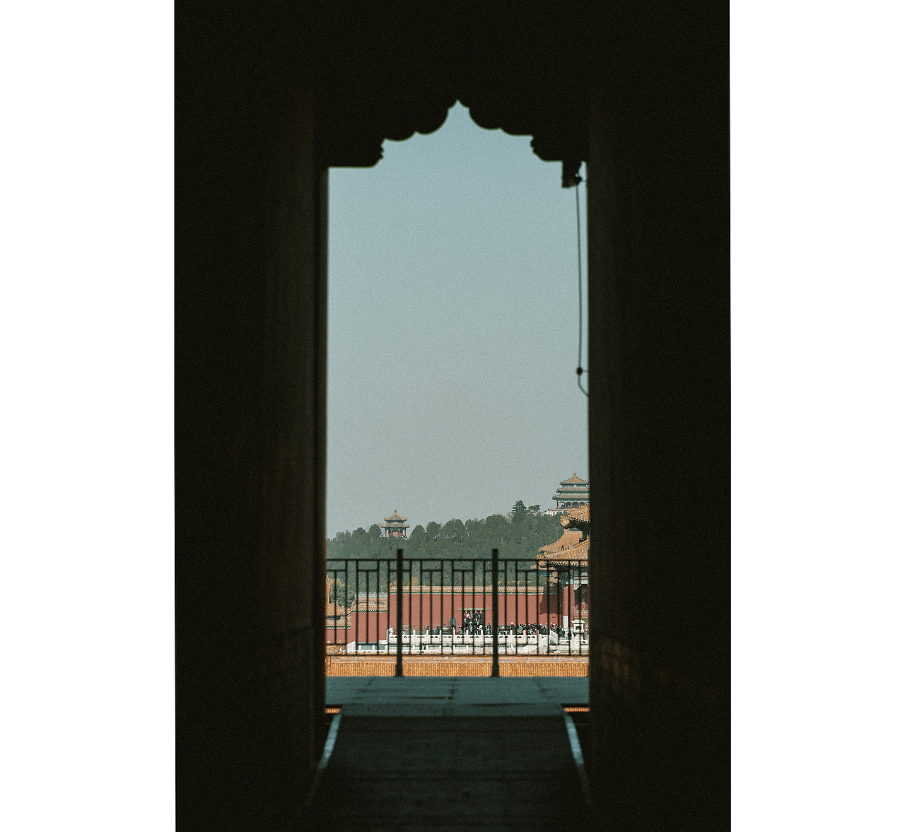 《葭月游园记》