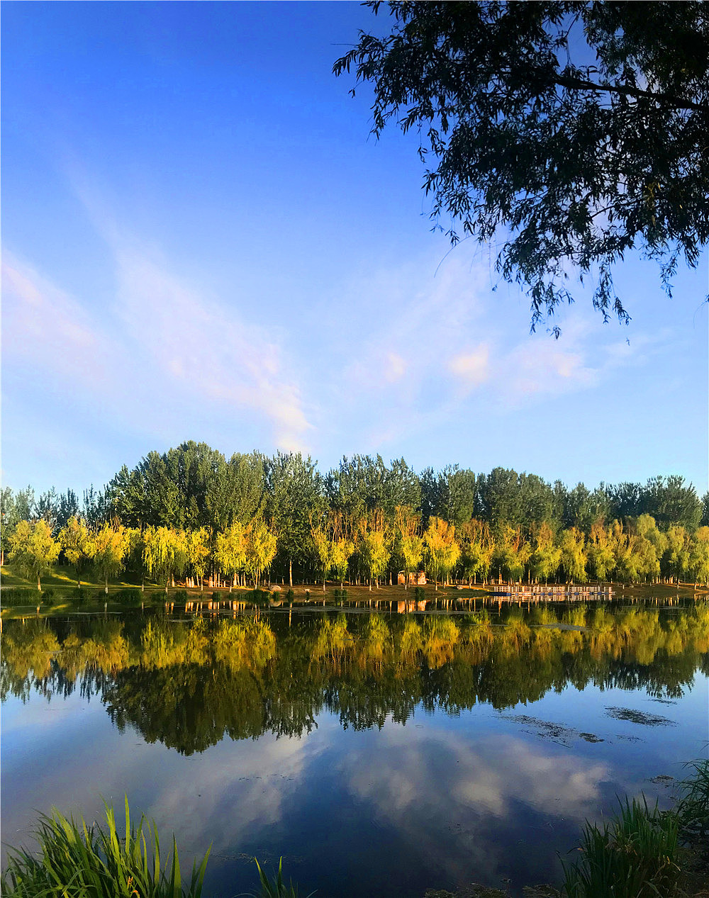 刘勇良手机纪事摄影:这里风光无限