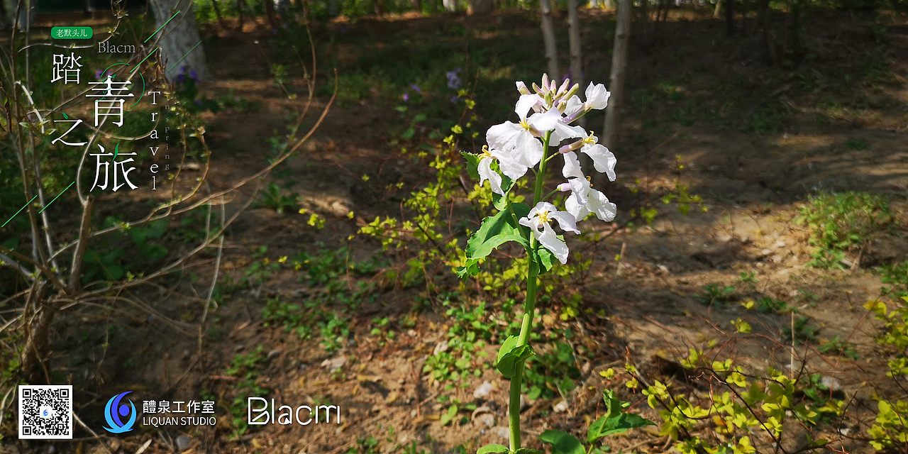 Blacm的踏春之旅（图ZMjA0NTIyMzM2） - 风光摄影 - 站酷设计师Blacm原创素材 - 站酷ZCOOL