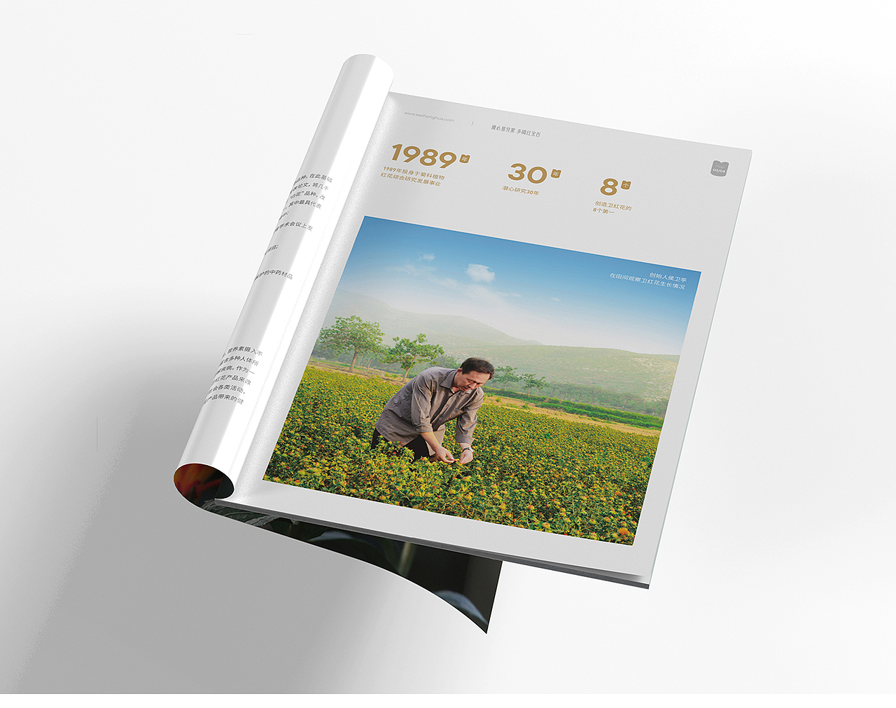 红宝吉-品牌形象升级+包装升级+画册设计+展会策划（图ZMjA0NzM4MzI0） - 品牌 - 站酷设计师知一设计原创素材 - 站酷ZCOOL