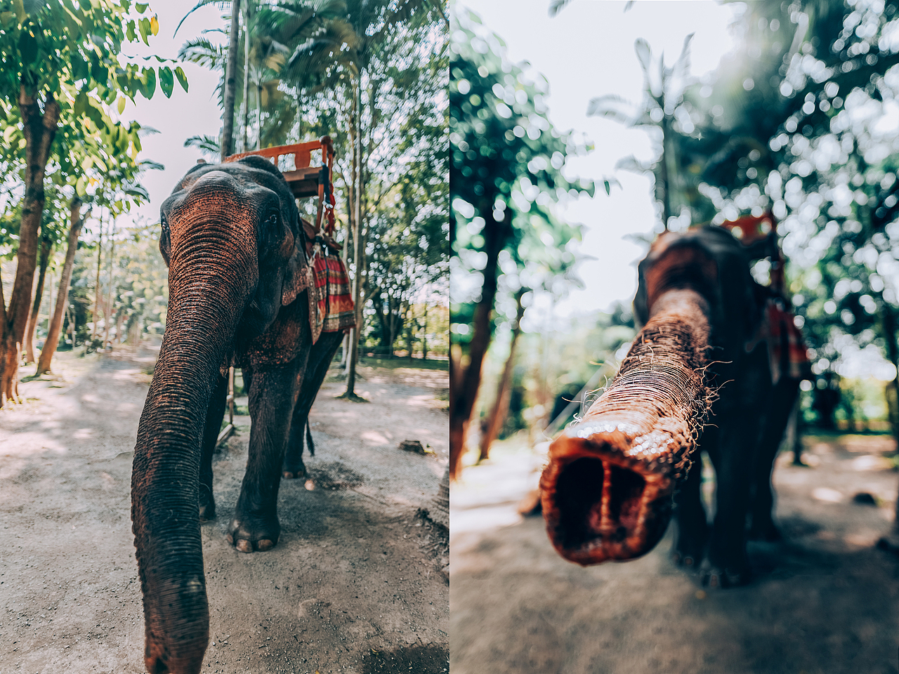 城视中国 | 异域西双版纳（图ZMjQ1NDU5NjM2） - 风光摄影 - 站酷设计师戴帽子的那个路遥原创素材 - 站酷ZCOOL