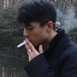 文森普的头像