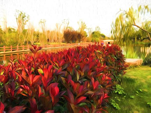 采風（個人主頁-ZMjQ5ODE5MTY=） - 風光攝影 - 站酷設(shè)計師美麗UI原創(chuàng)素材 - 站酷ZCOOL