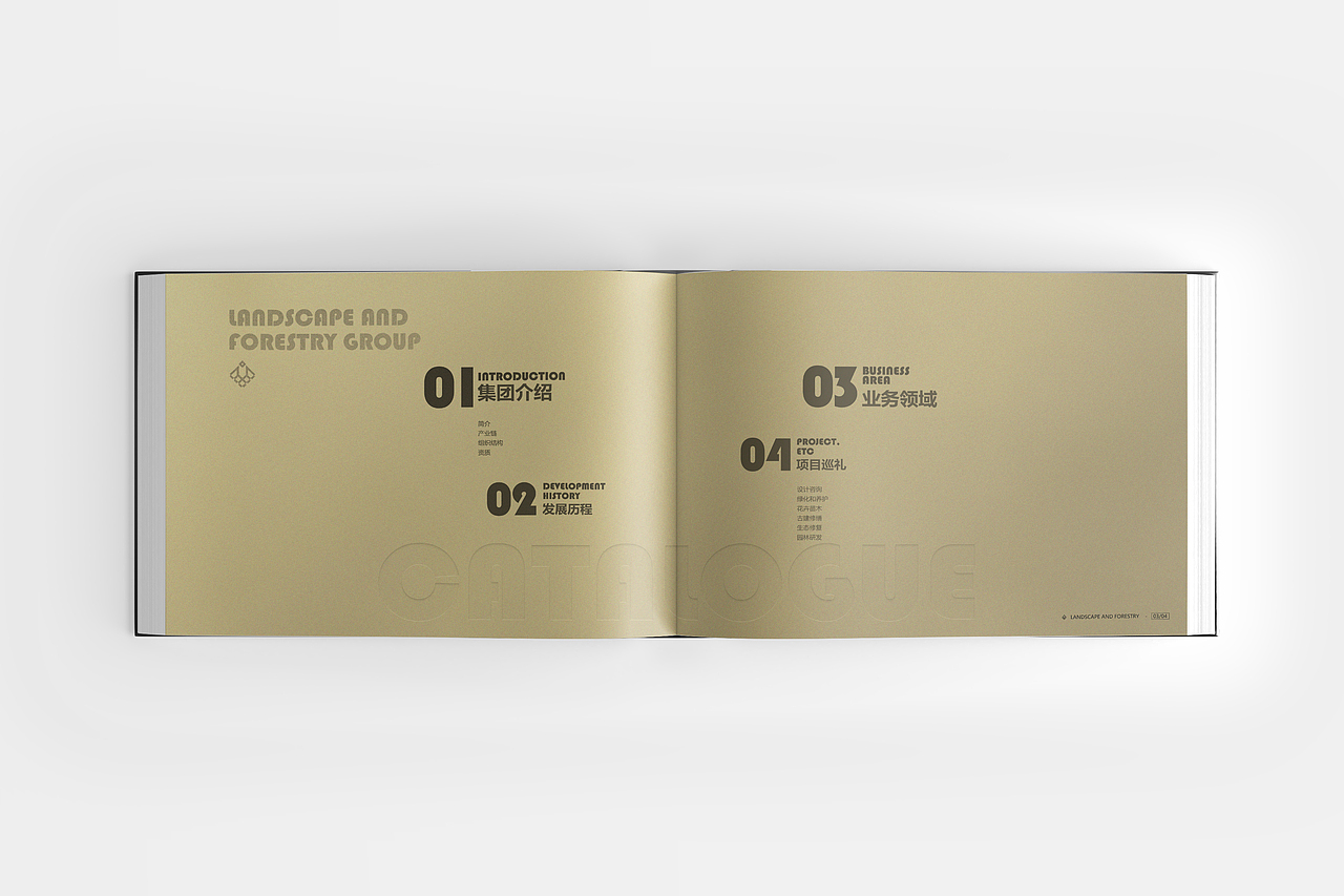 字体/LOGO部分精选 | 2020