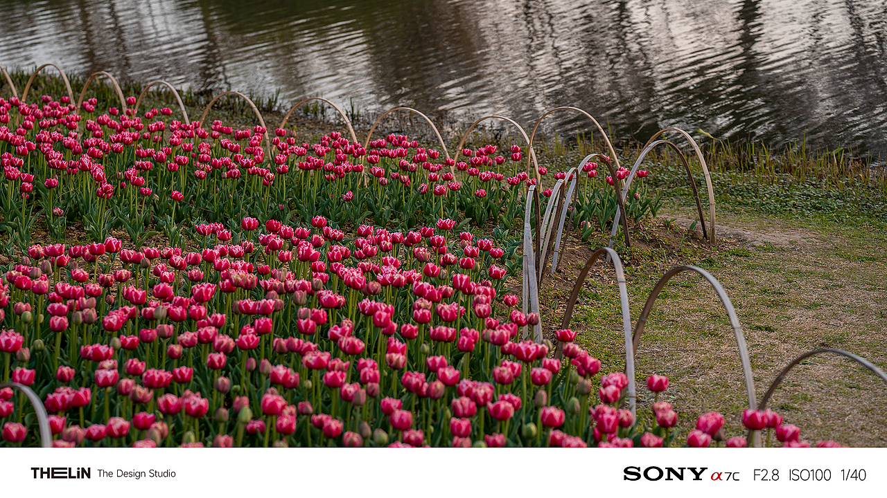 总要来趟南京吧（图ZMzMzOTEwNTI0） - 短片 - 站酷设计师泽林视觉原创素材 - 站酷ZCOOL