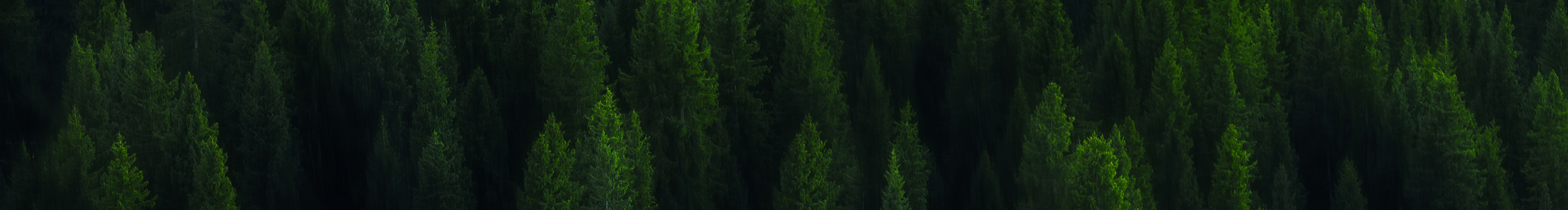 一別兩寬各生歡喜的個(gè)人主頁(yè)（封面預(yù)覽） - 主頁(yè)封面設(shè)置 - 站酷設(shè)計(jì)師一別兩寬各生歡喜原創(chuàng)素材 - 站酷ZCOOL